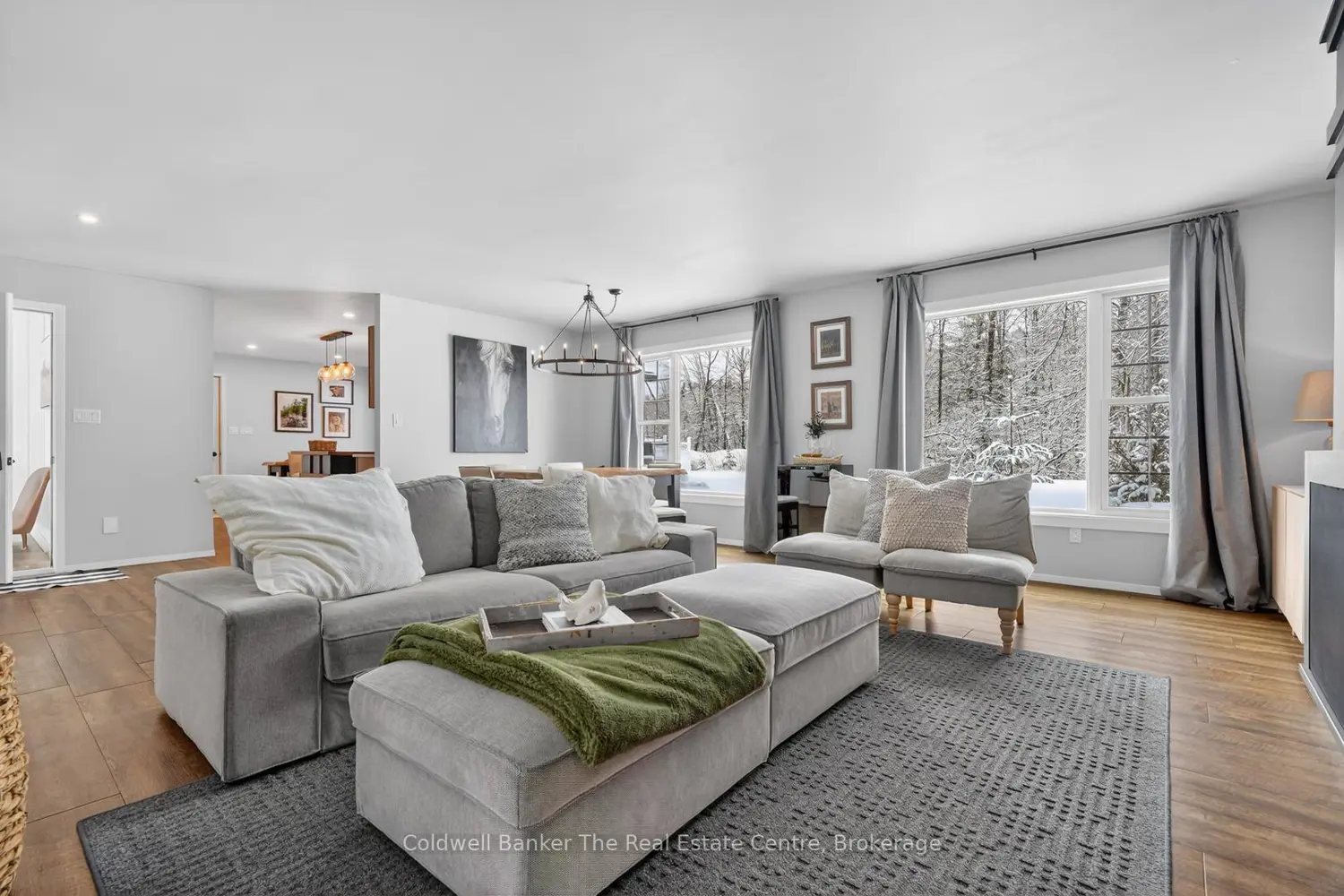 44 Anson Street photo 5