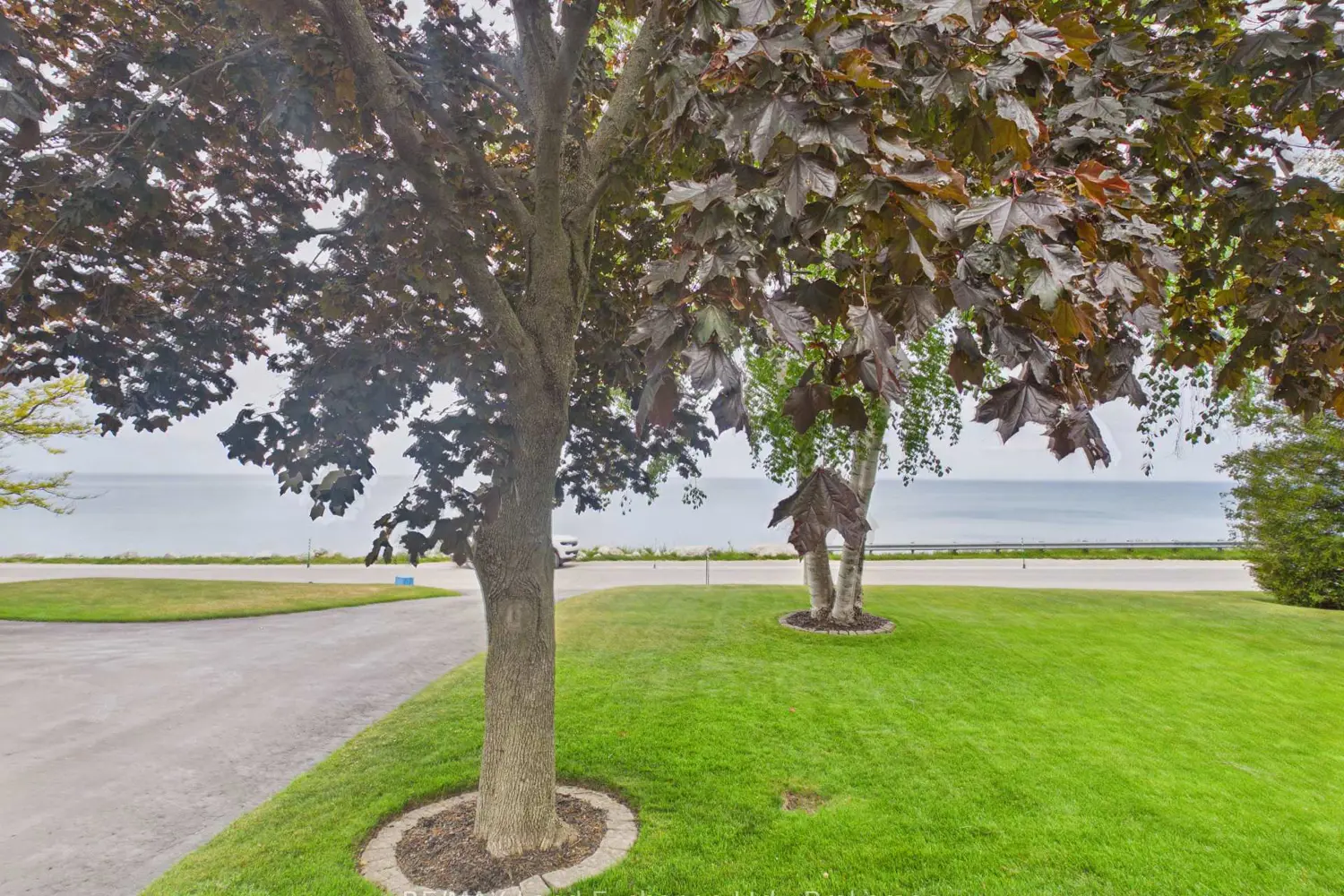 167 Goderich Street photo 2