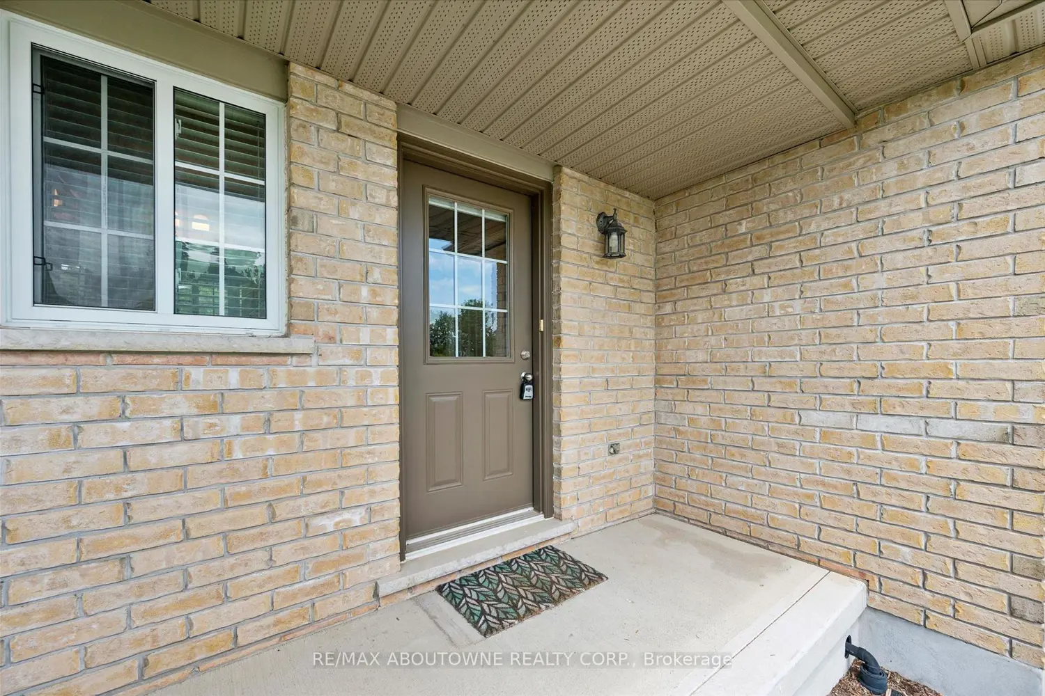 488 Colt Street photo 3