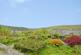 Top Cottages, Cressbrook, Buxton photo 2