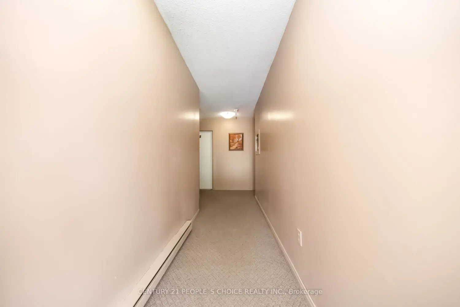 6797 Formentera Avenue 83 photo 5