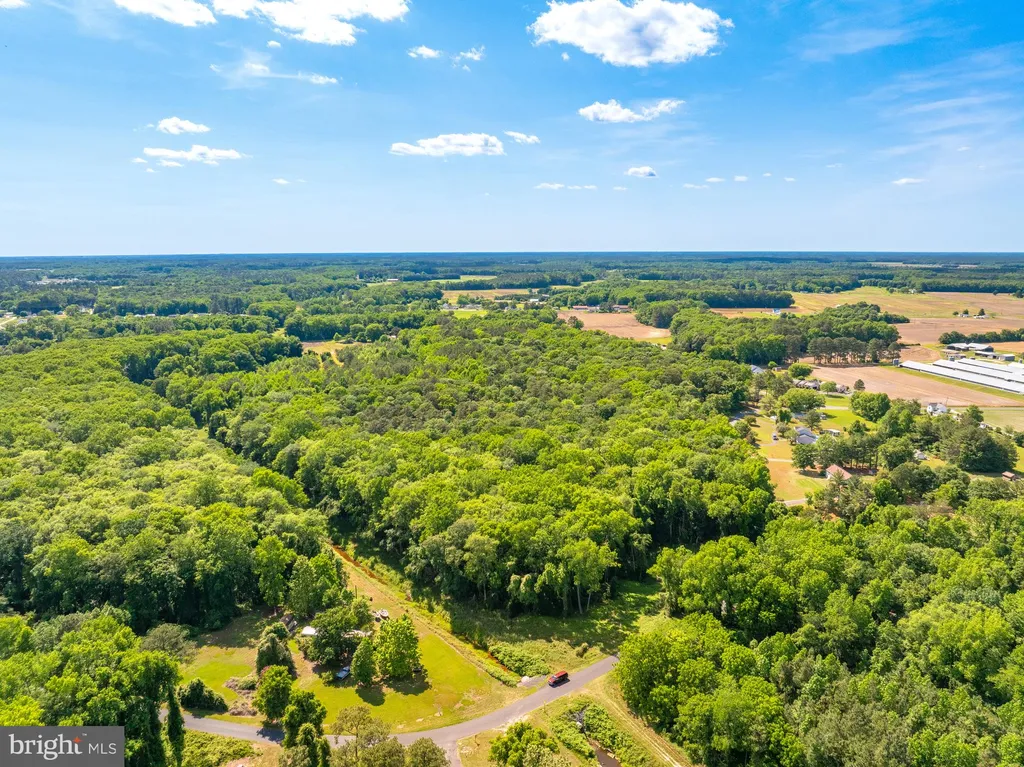 Casher Wells Road, Pittsville, MD 21850