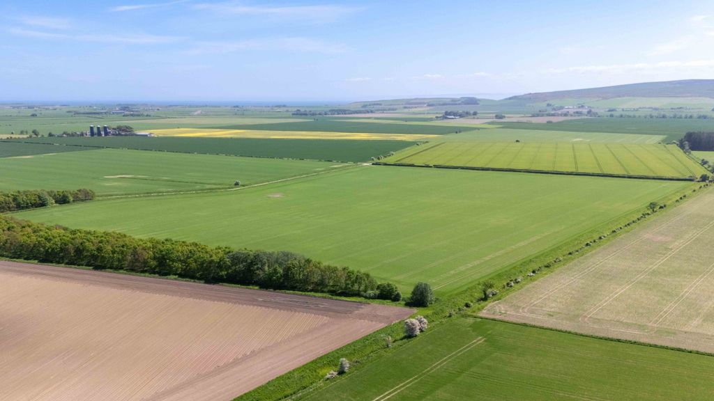 Land for saleLot 2 - Land At Balinroich, Fearn, Tain, Ross-Shire IV20