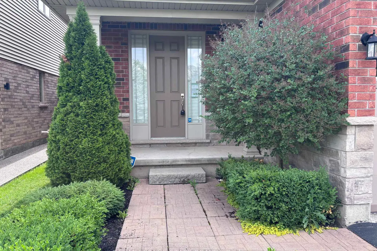 419 Macintosh Drive photo 3