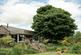 Fronhaul, Cefn Coch, Powys photo 2