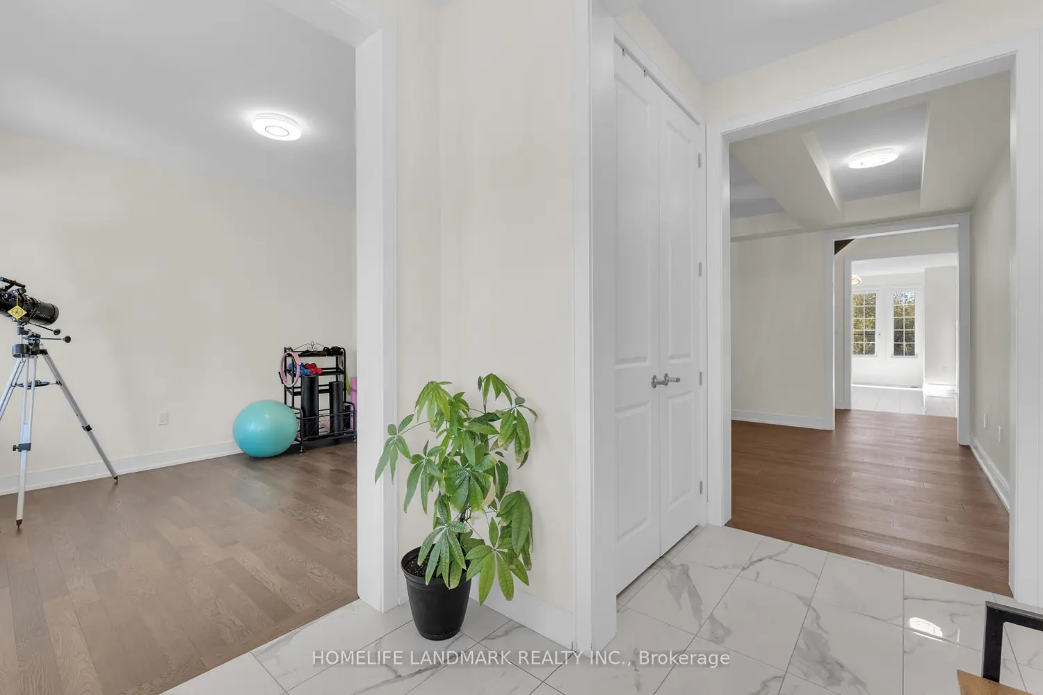 166 Petal Avenue photo 5