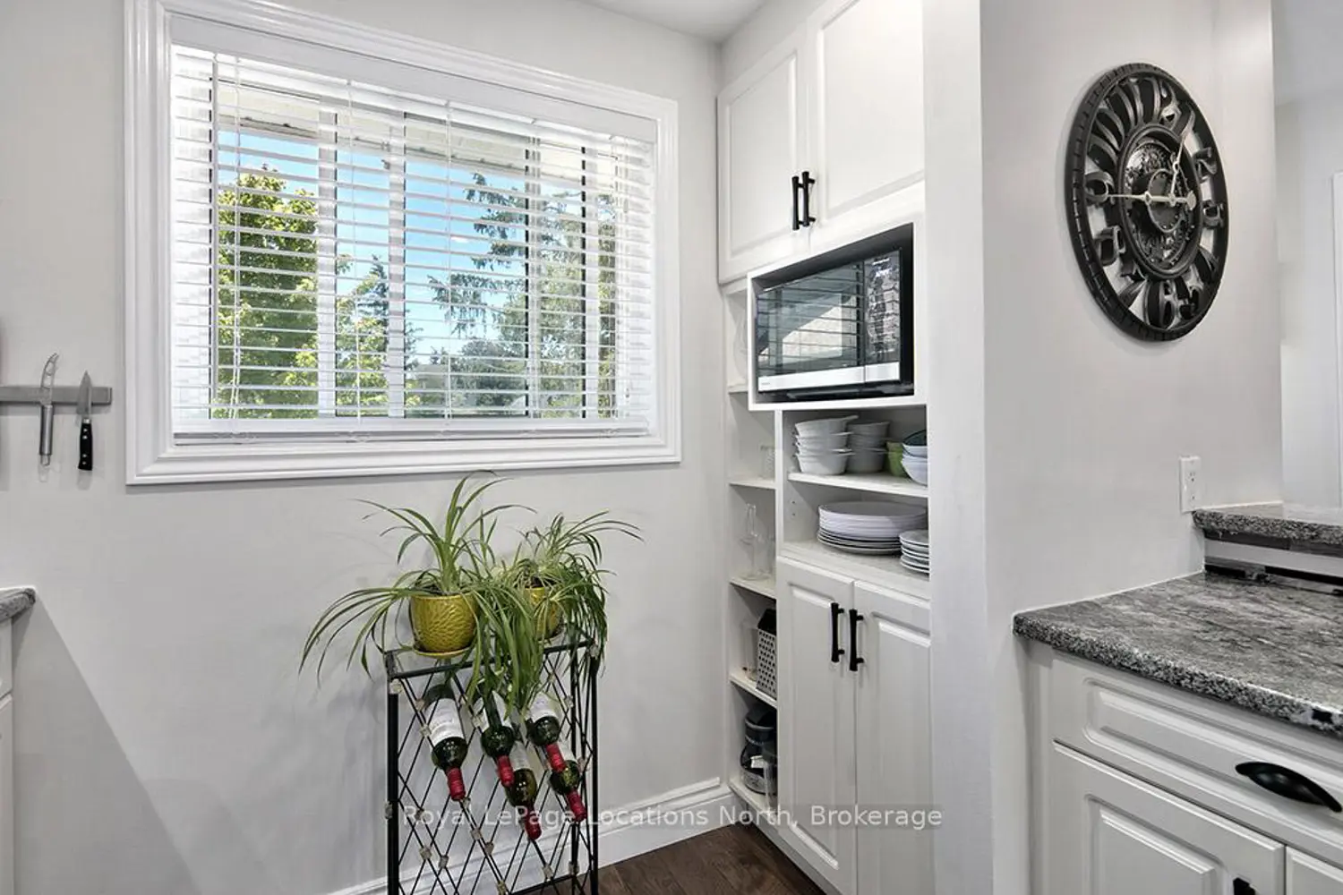 127 Alfred Street 58 photo 4