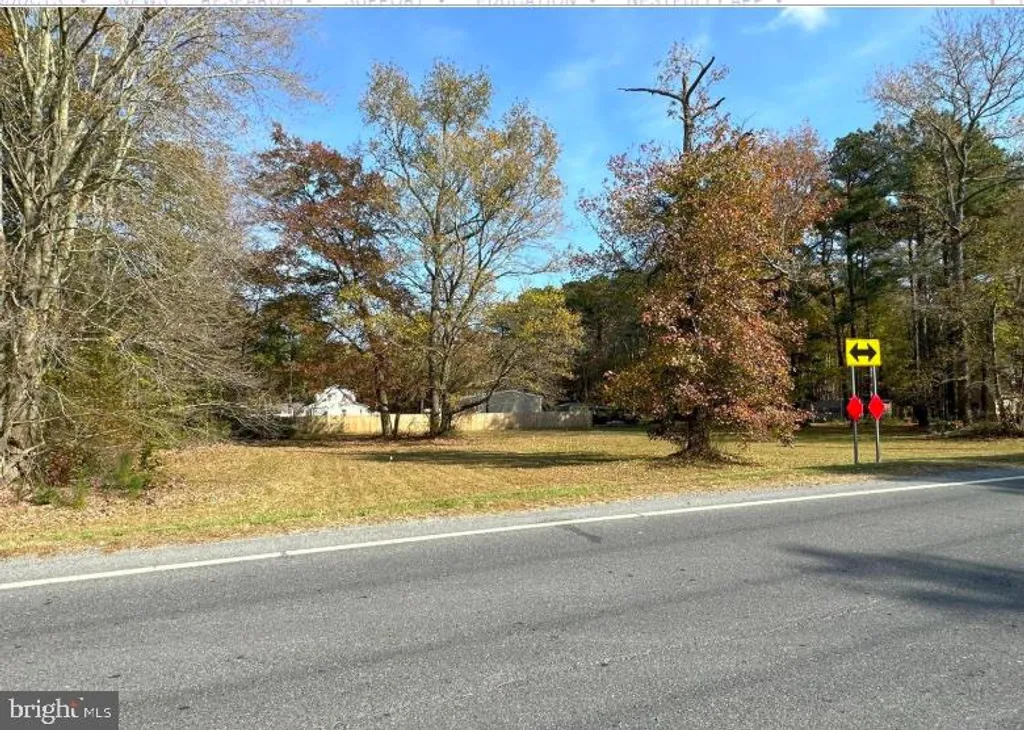 Mount Joy Road, Millsboro, DE 19966 photo 2