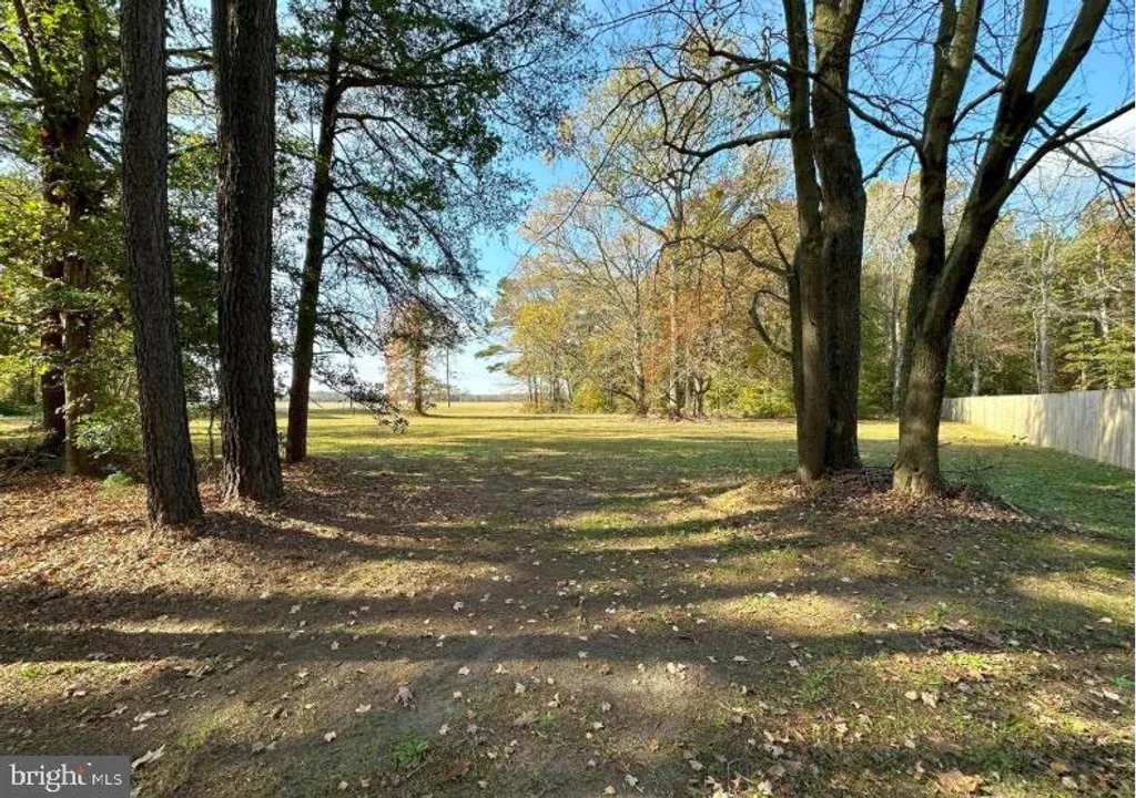 Mount Joy Road, Millsboro, DE 19966