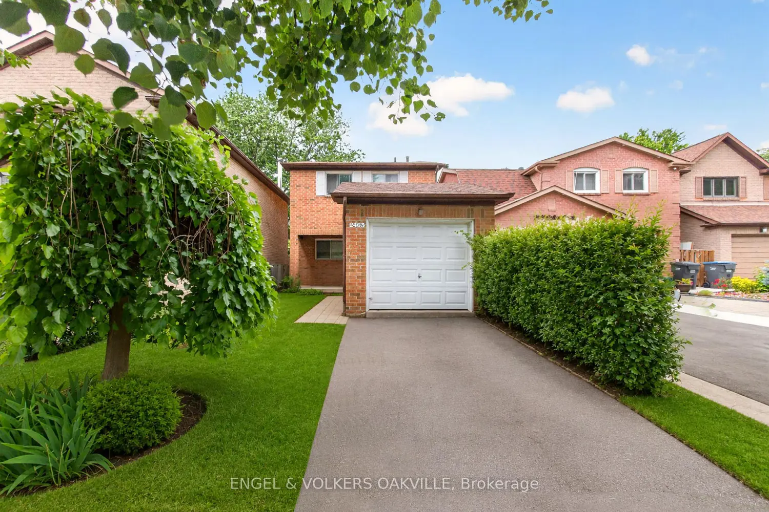 2463 Colter Court
