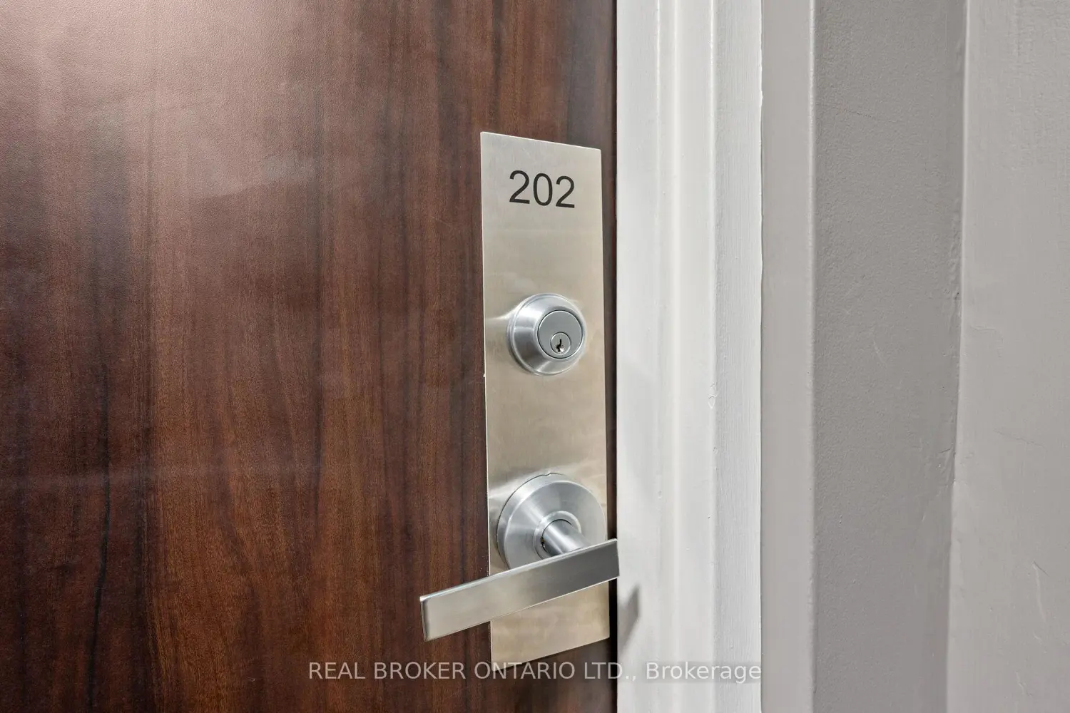 21 Elizabeth Street 202 photo 3