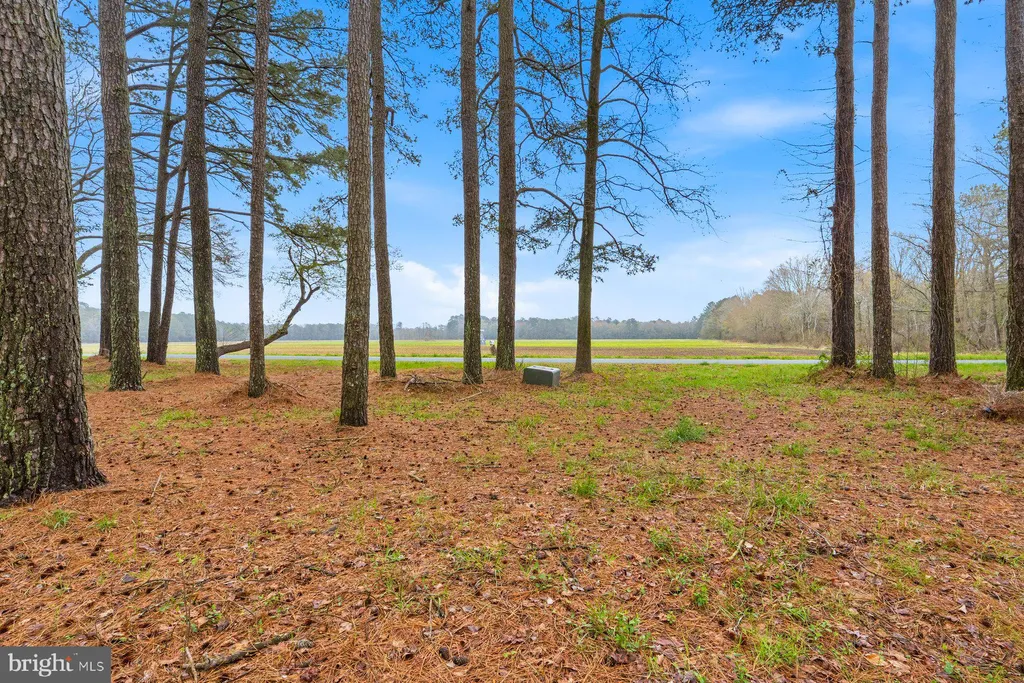 8434 Hurleys Neck Road, Mardela Springs, MD 21837