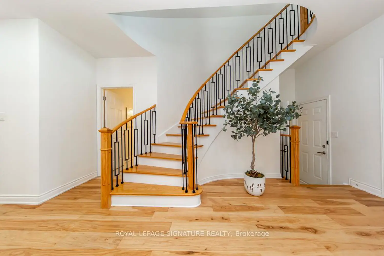3773 Quiet Creek Drive photo 5