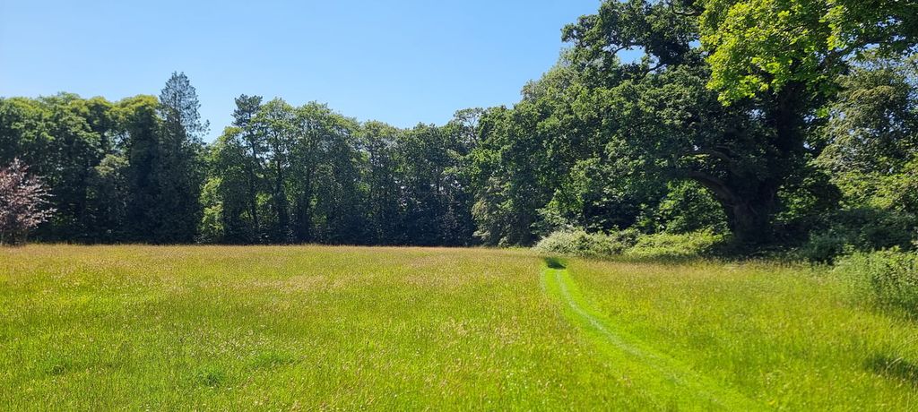 Land for saleBrookley Road, Brockenhurst SO42