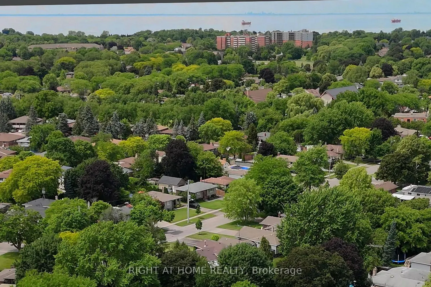 446 Geneva Street photo 3
