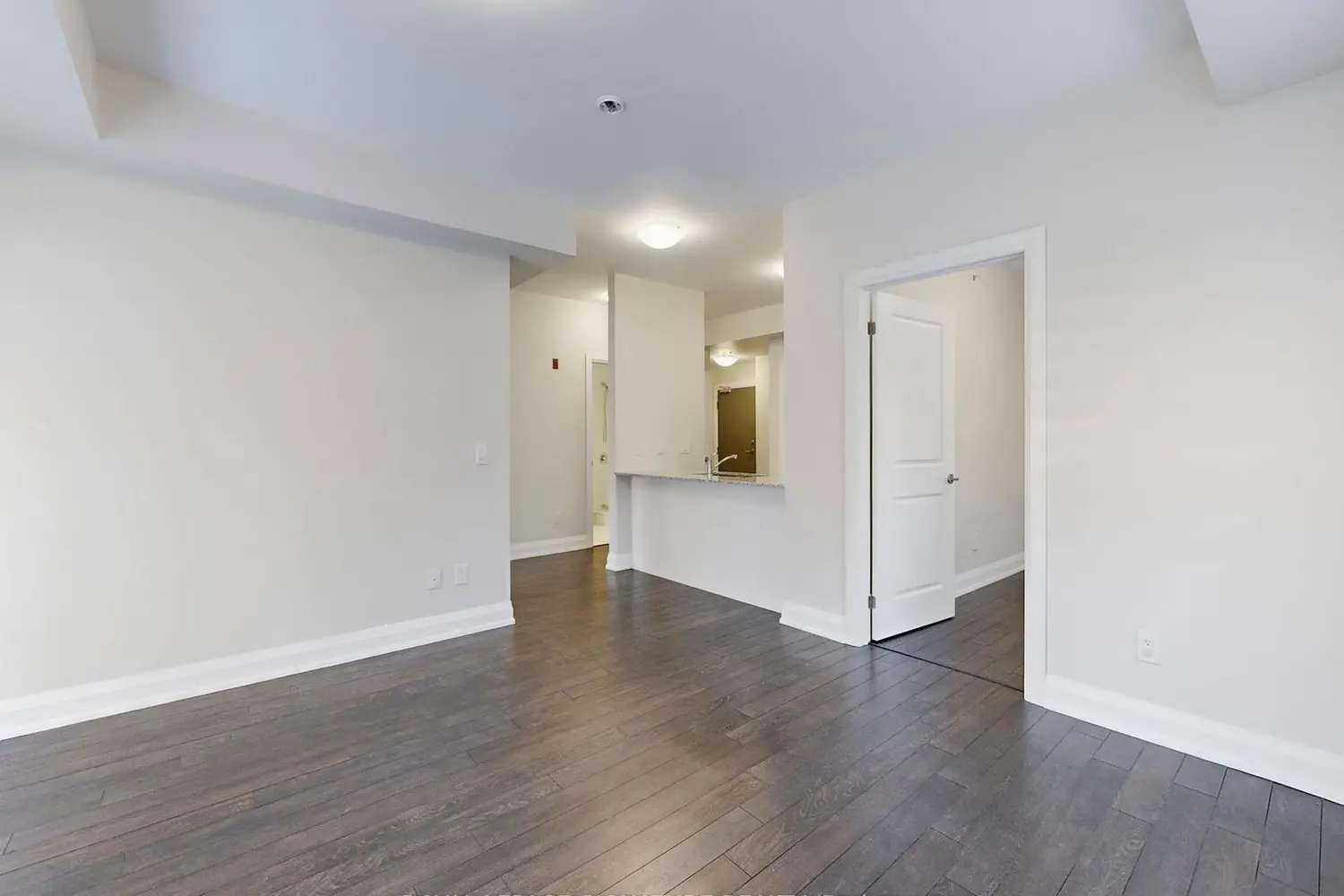 481 Rupert Avenue 2119 photo 4