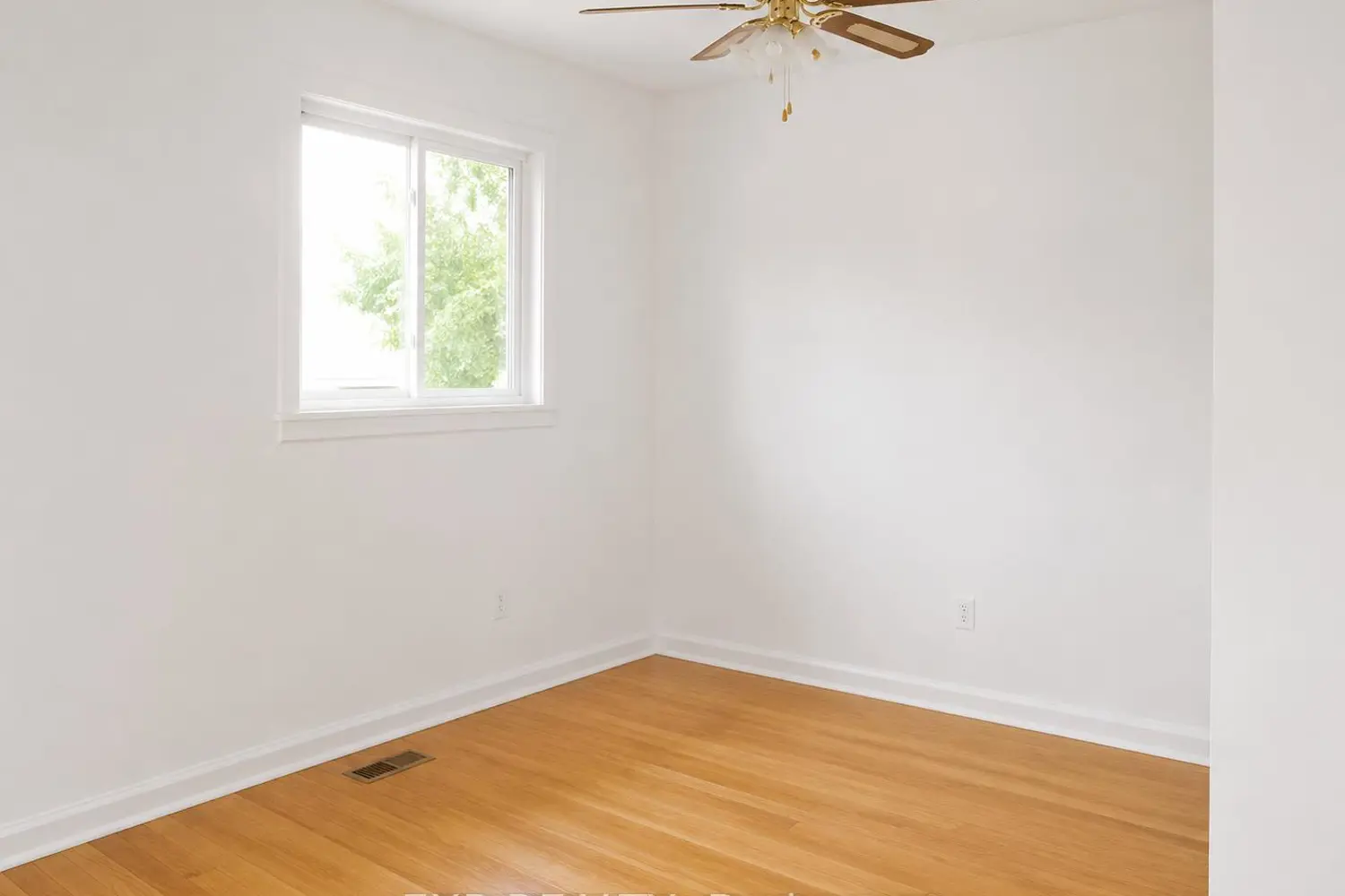 2473 Walkley Road photo 5