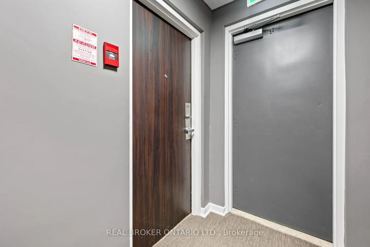 21 Elizabeth Street 202 photo 2