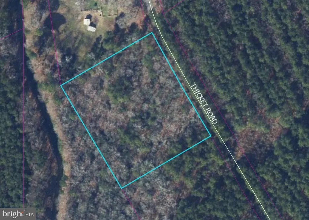 Thicket Rd, Milton, DE 19968