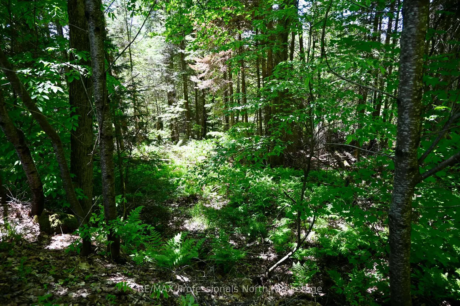 86 Bottings Road photo 3