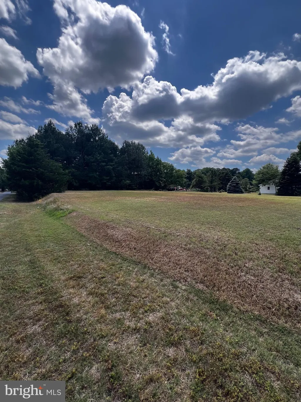 Dirreckson Drive, Frankford, DE 19945 photo 2