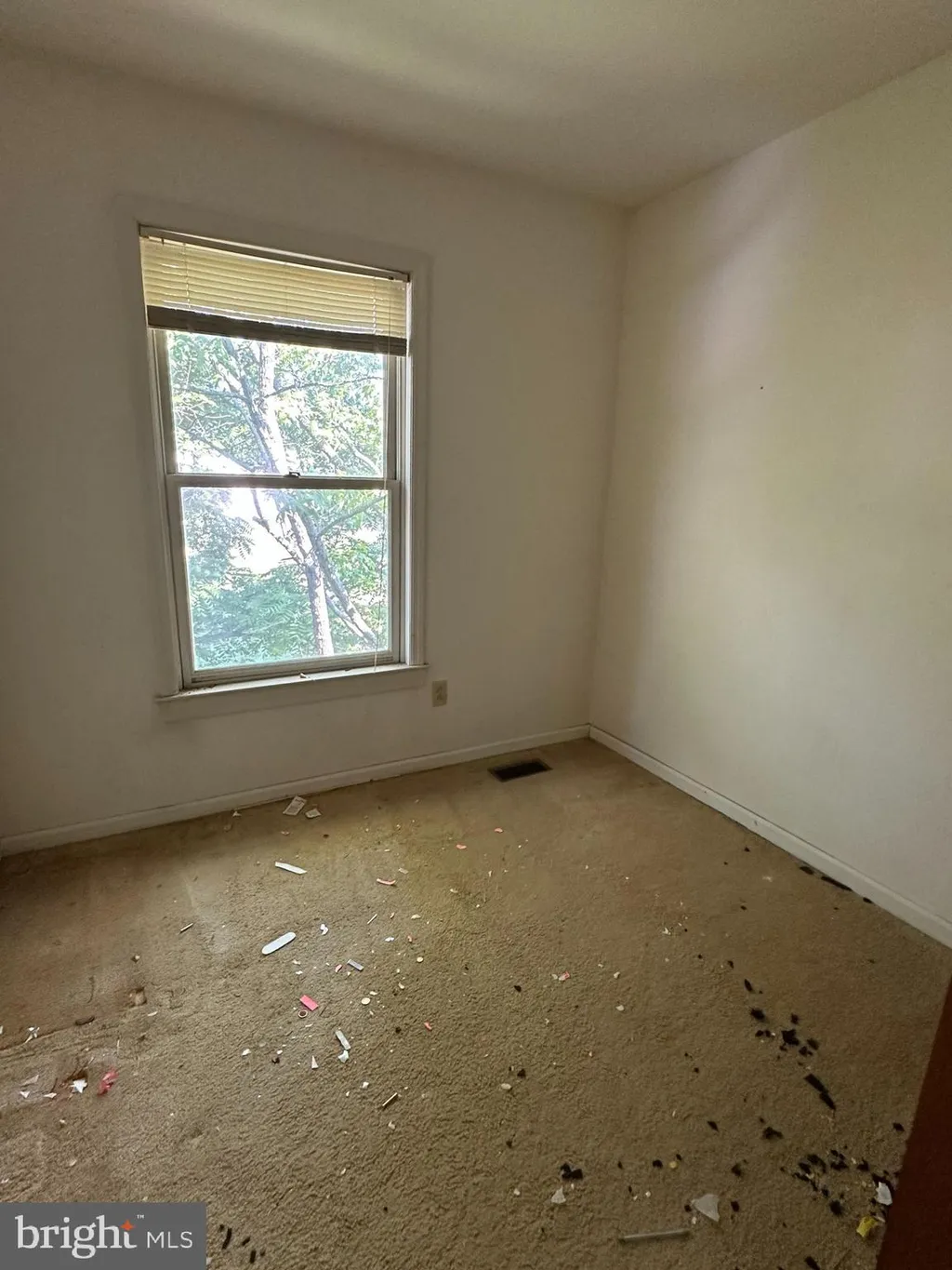 161 Whitburn Place, Newark, DE 19702 photo 5