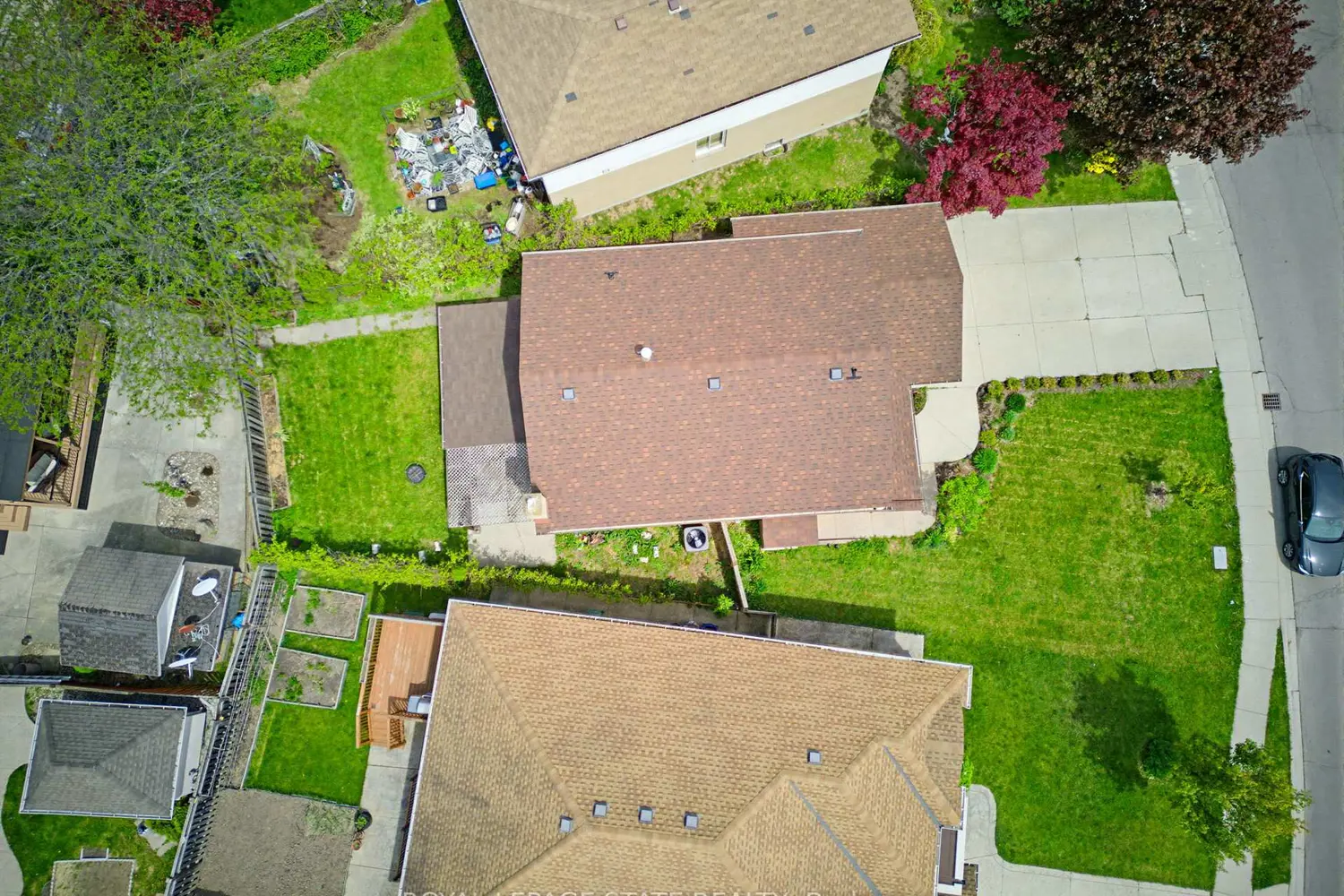 459 Dicenzo Drive photo 4