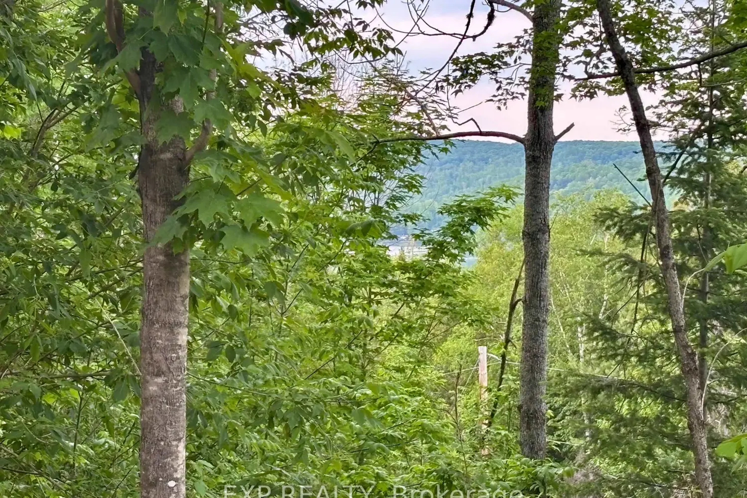 47 Arbor Vitae Road photo 3