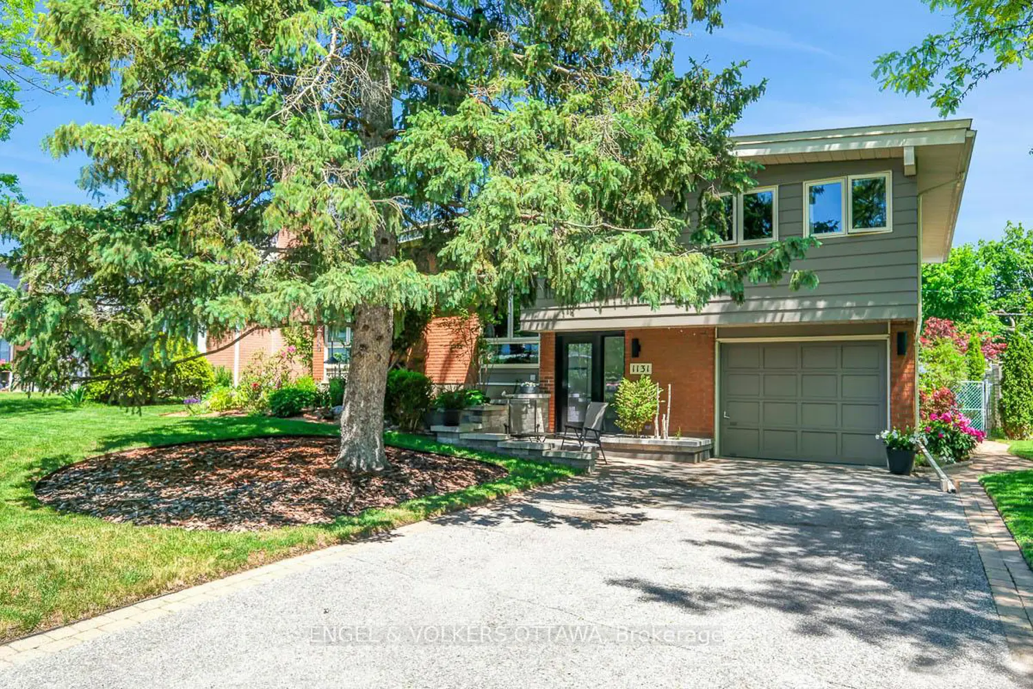 1131 Cameo Drive photo 2