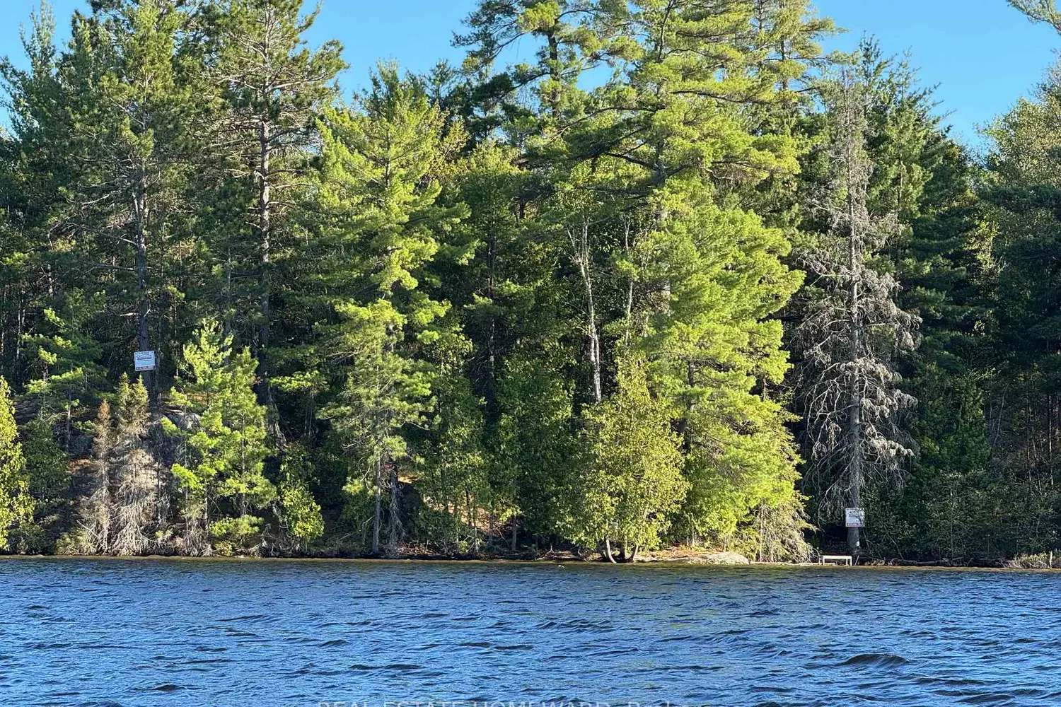Boat Access On Mason Island photo 3