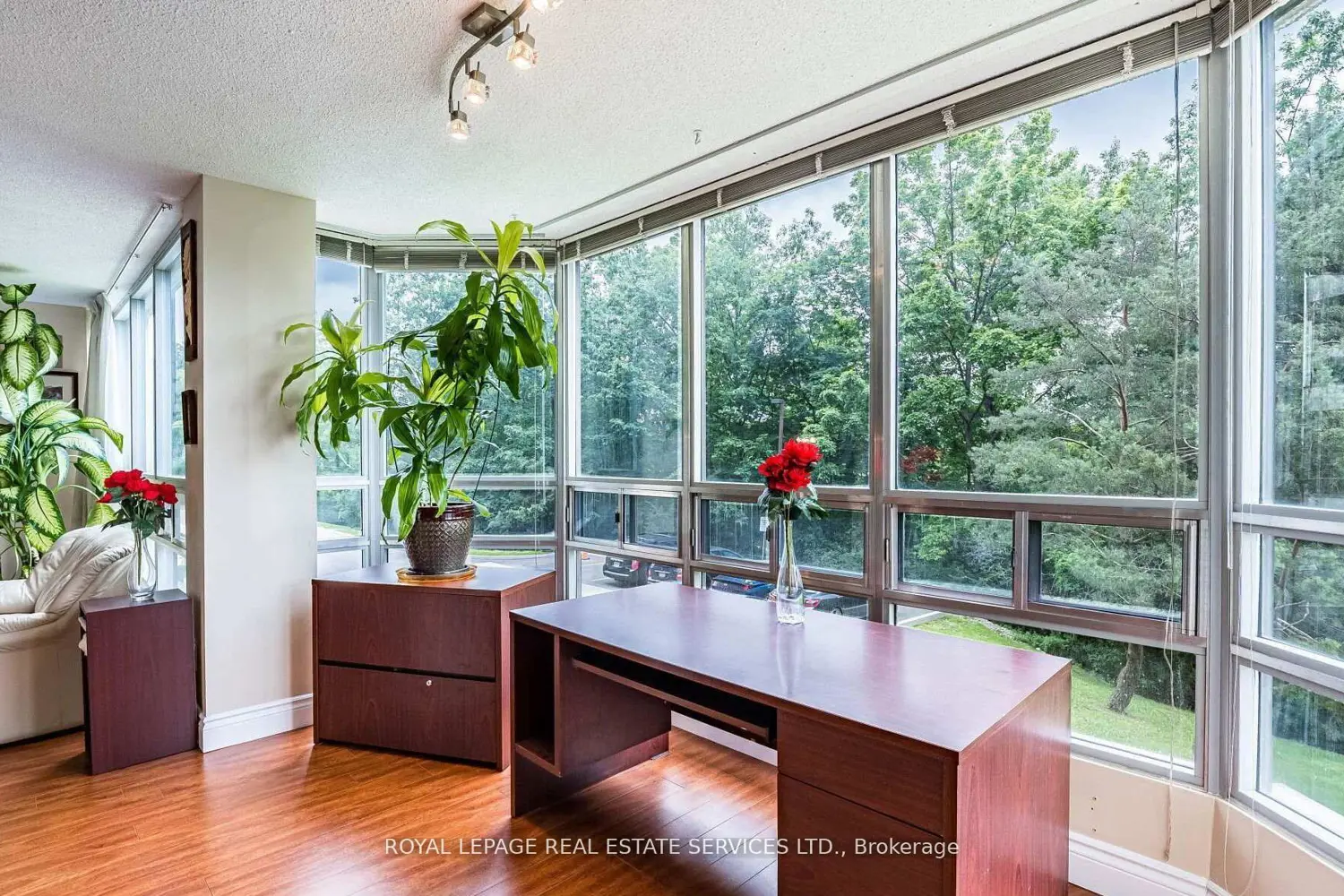 310 Mill Street 202 photo 4