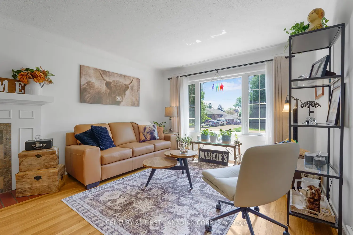 9 O'brien Drive photo 4