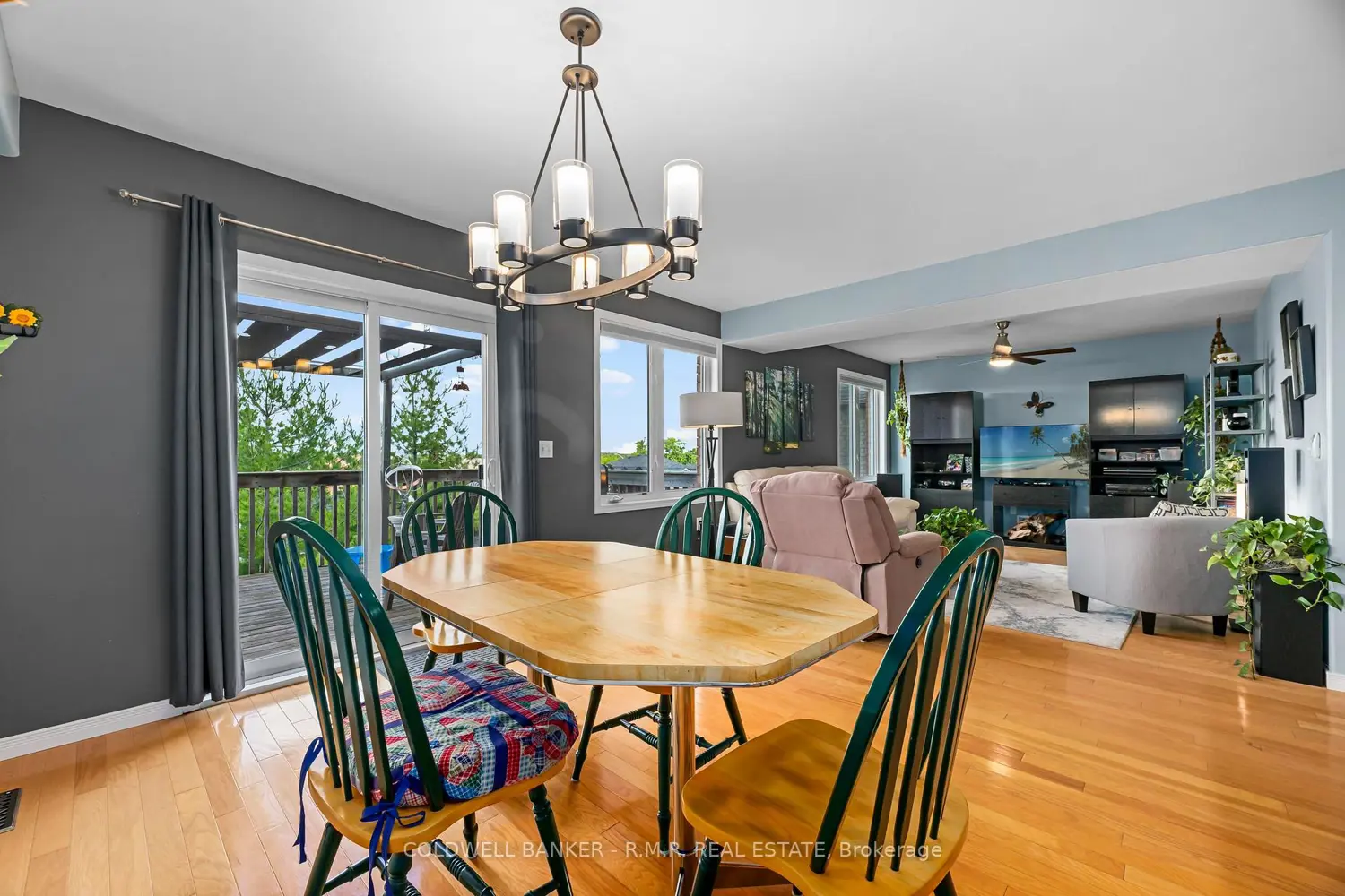1294 Haggis Drive photo 3