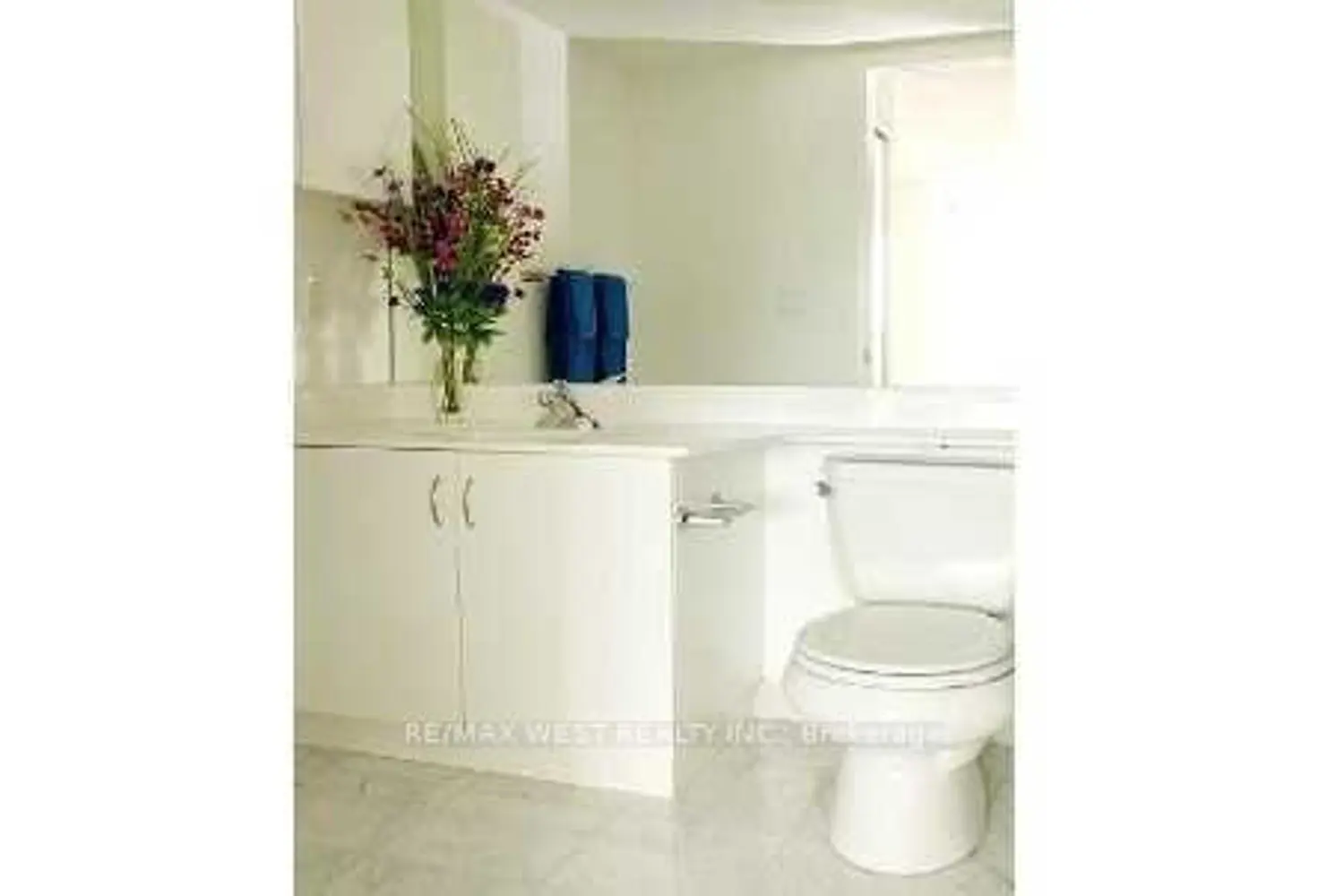 215 Fort York Boulevard 508 photo 5