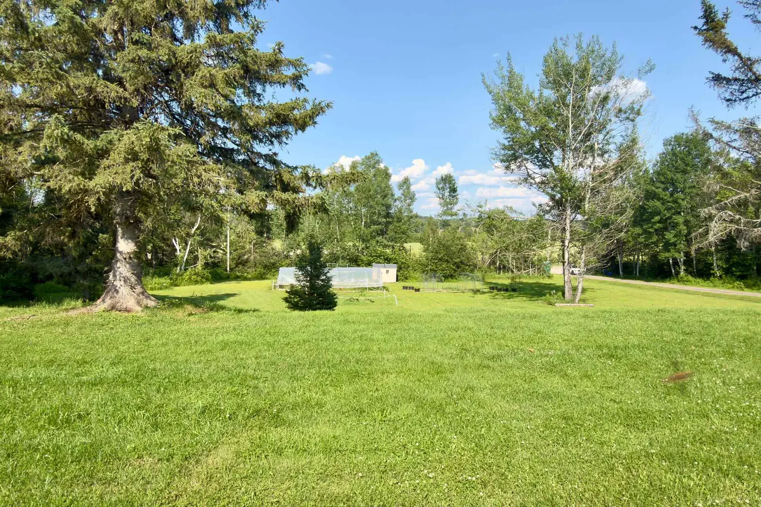 799 Maple Hill Road photo 3