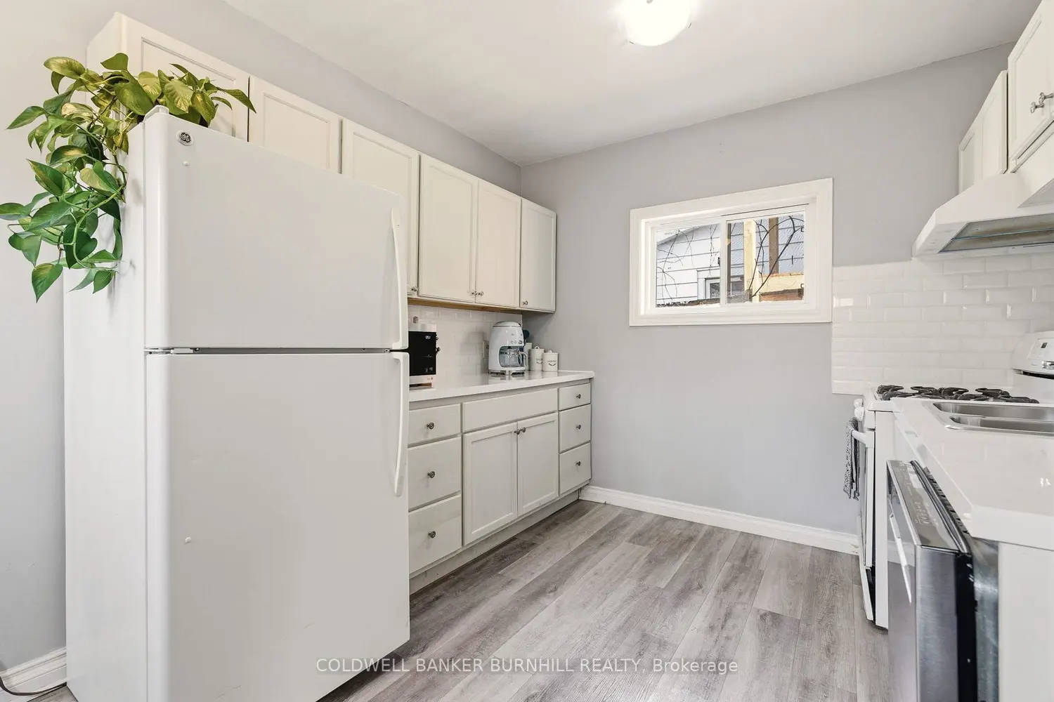 35 Dundas Street photo 4