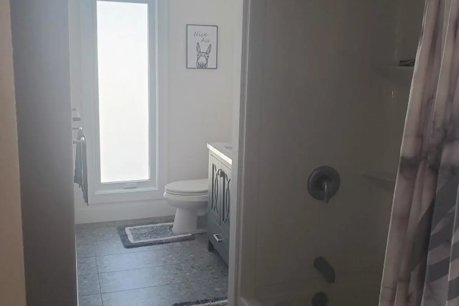 117 Drummond Street photo 4