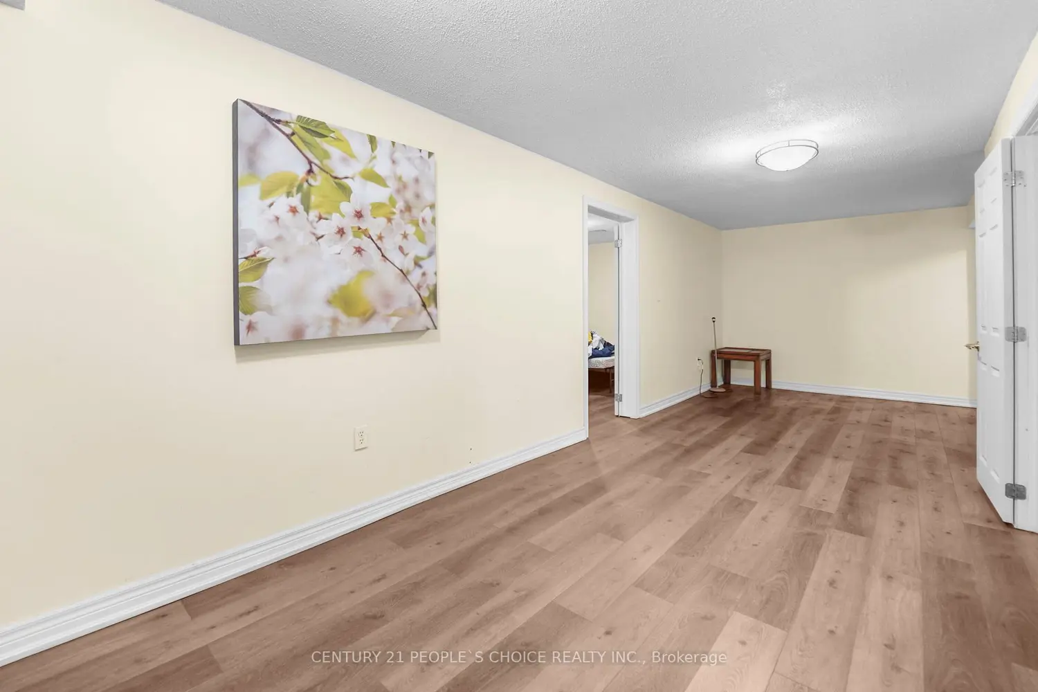 3640 Aberdeen Street photo 3