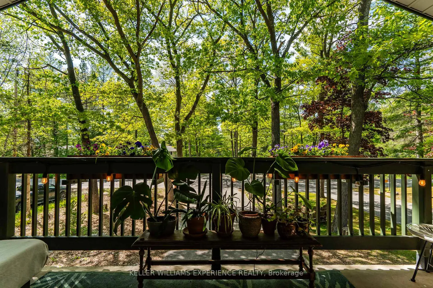 181 Park Road photo 5