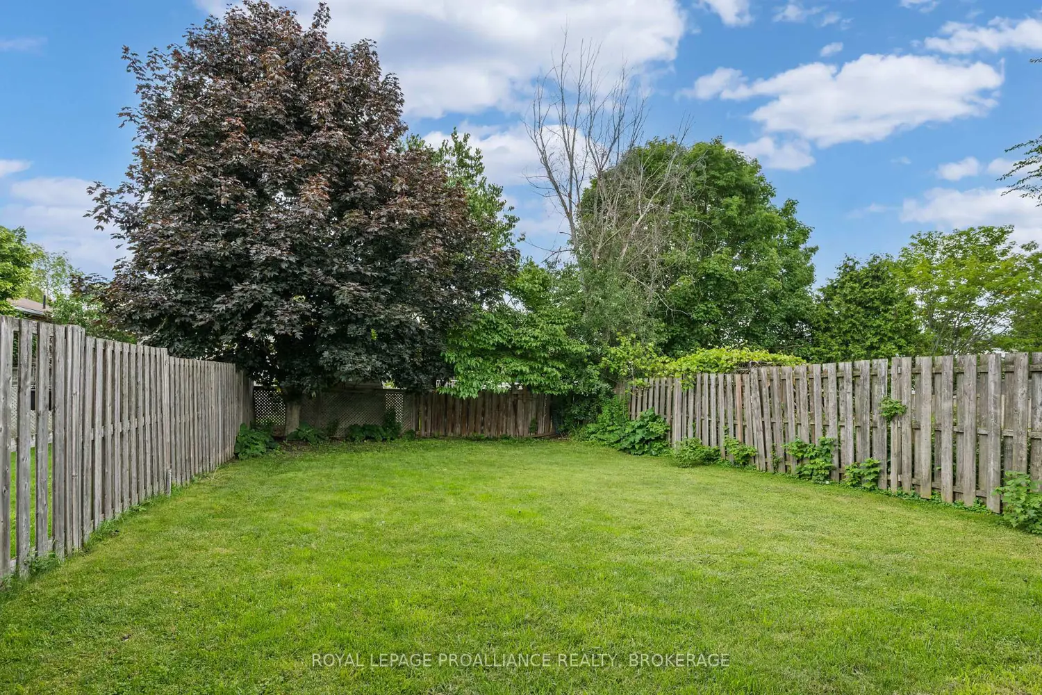653 Barnsley Crescent photo 4