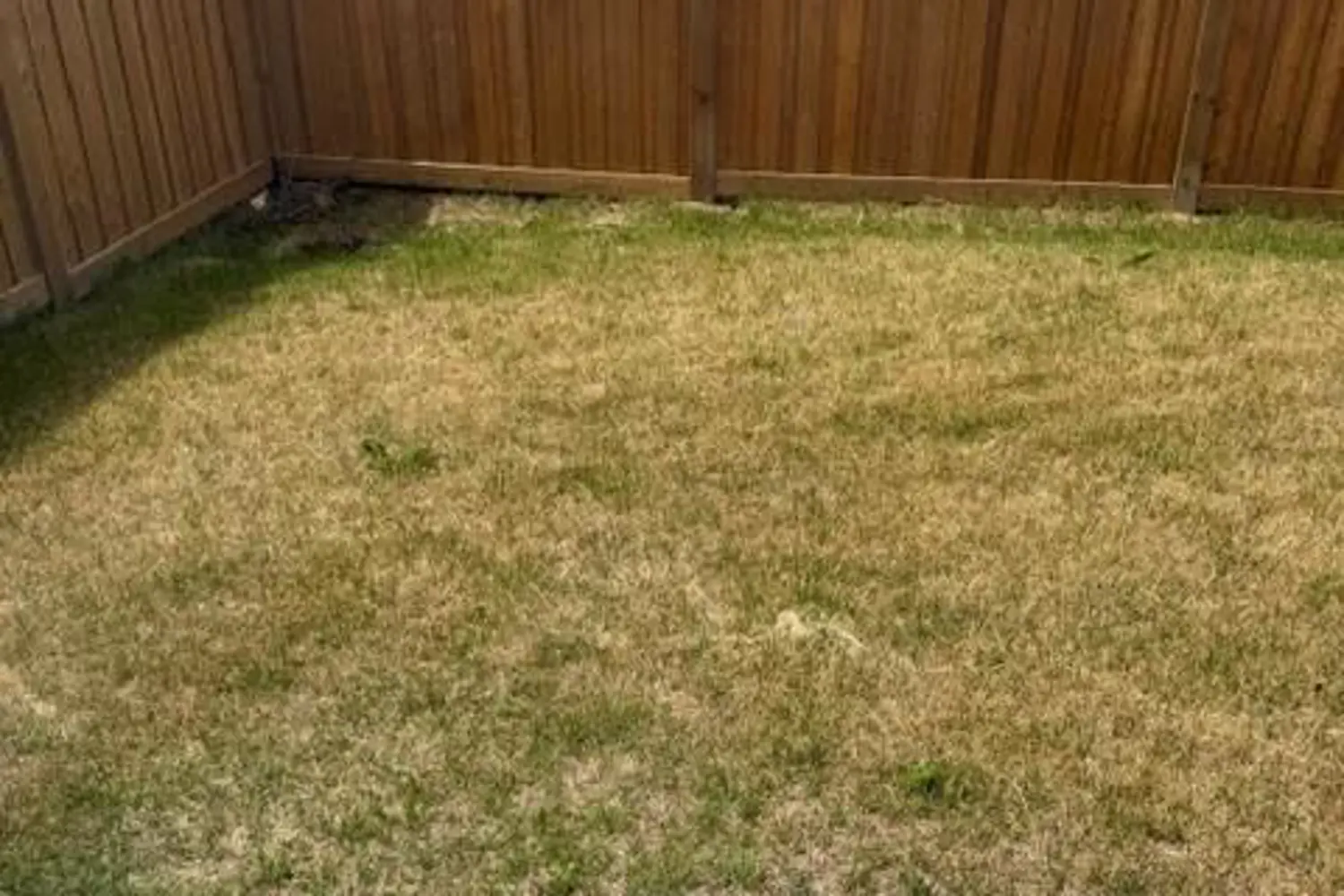 1546 Rose Way photo 3