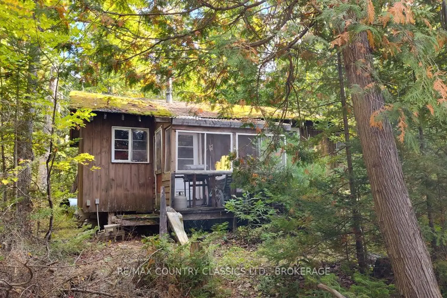 860 Mazinaw Lake photo 4