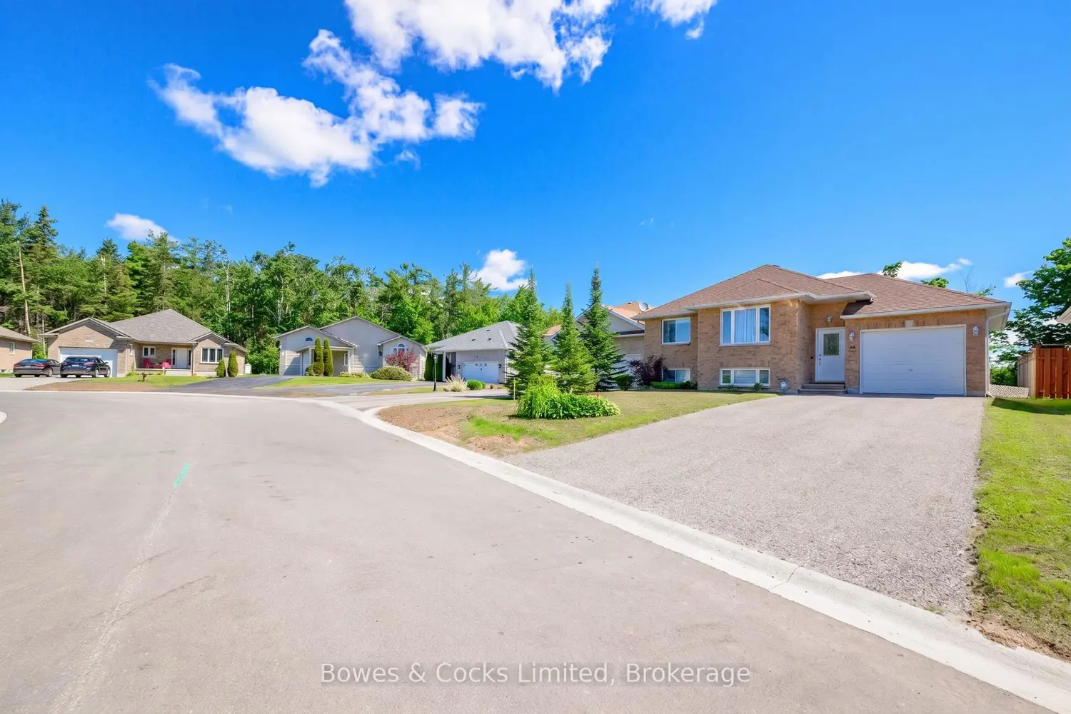 59 Birch Crescent photo 4