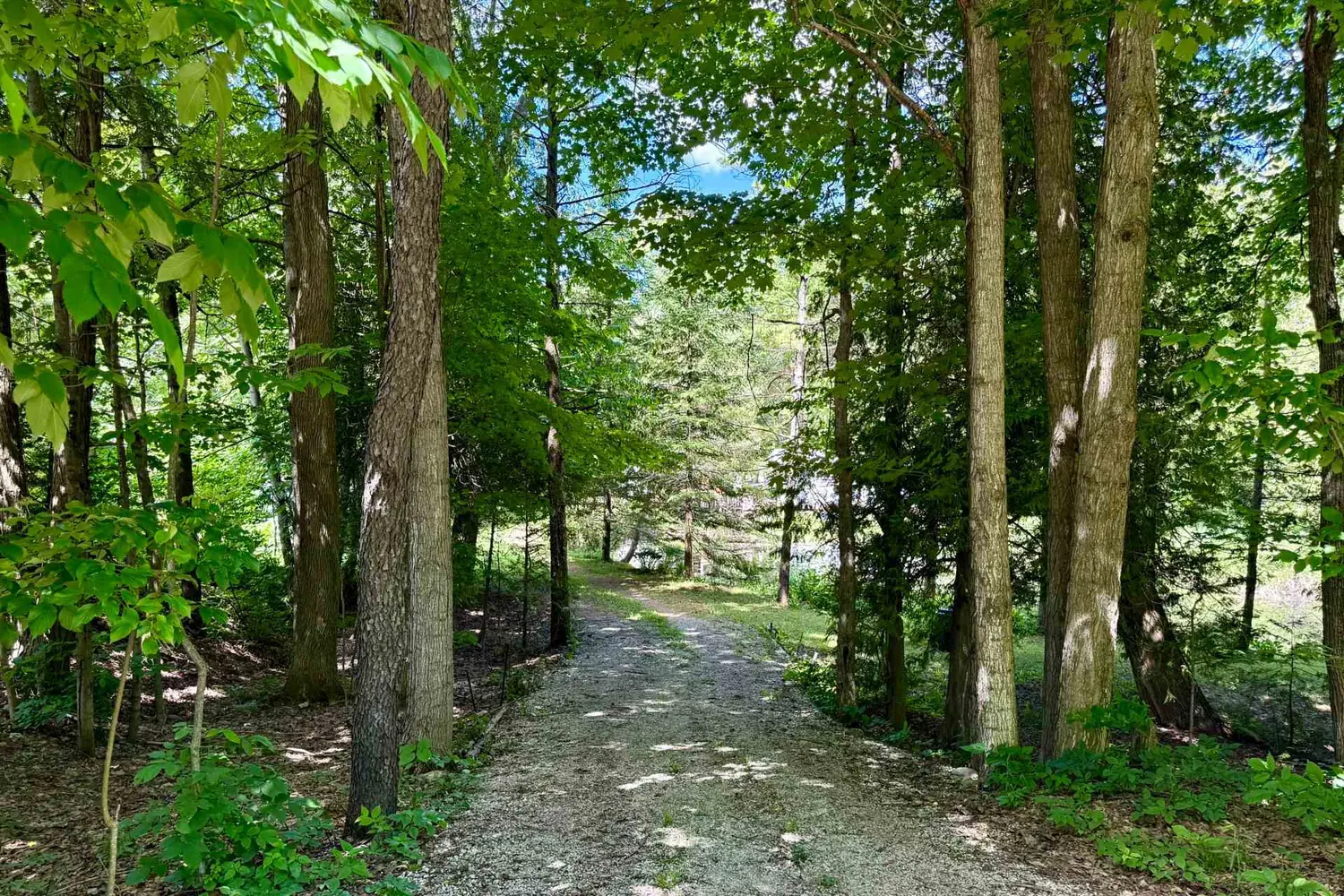 157 Anderson Drive photo 2
