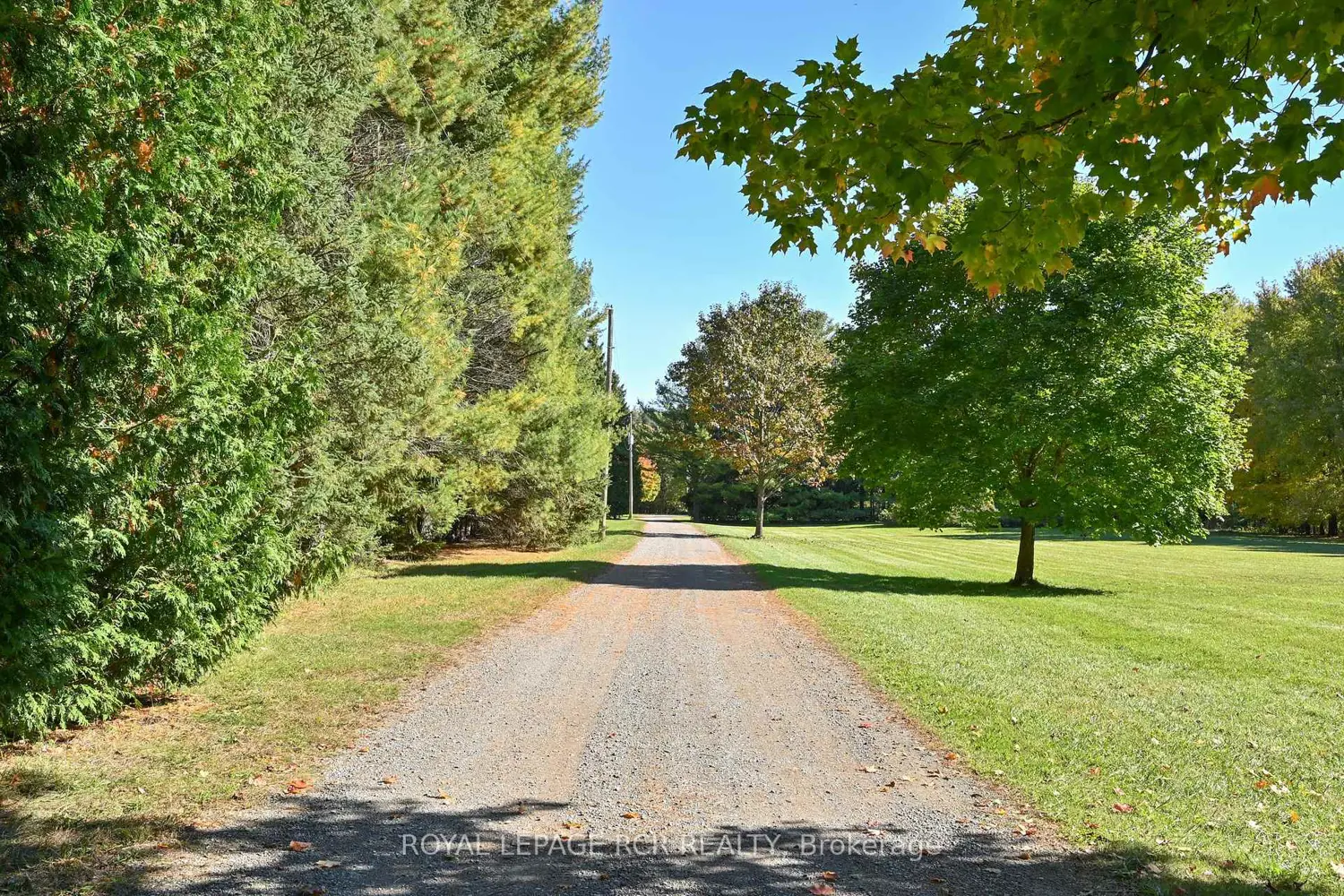 2863 Concession Rd 3 photo 4