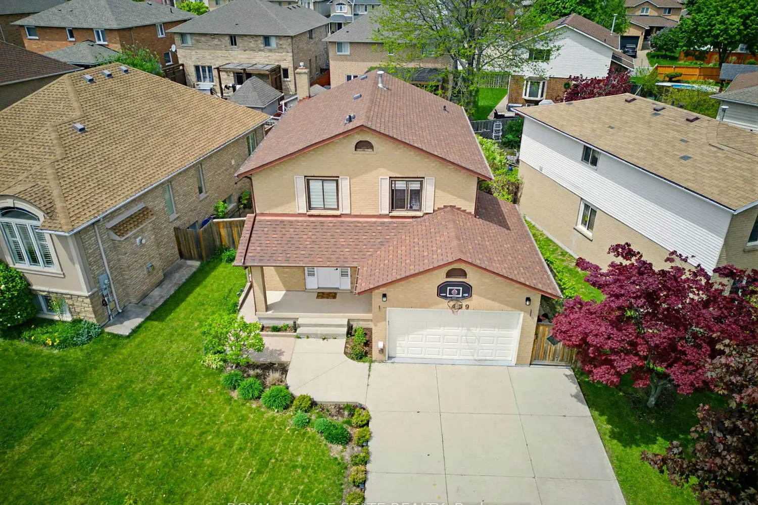 459 Dicenzo Drive photo 2