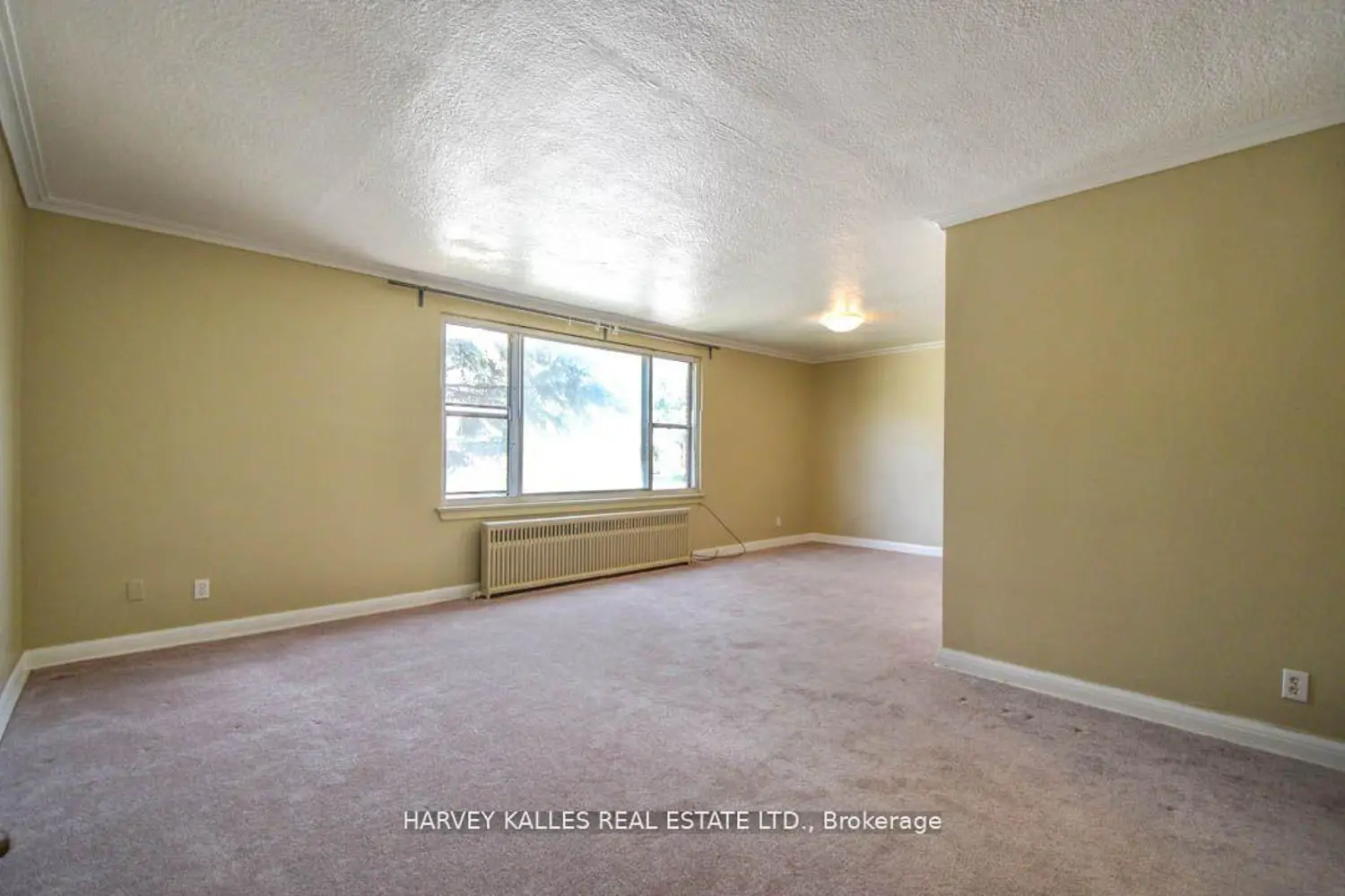 90 Trethewey Drive photo 4