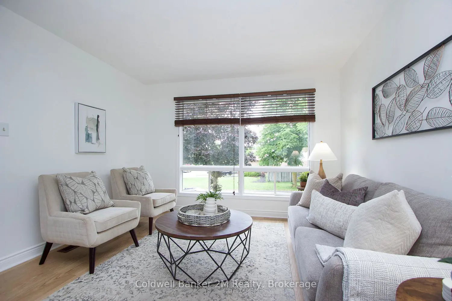 42 Kintyre Street photo 5