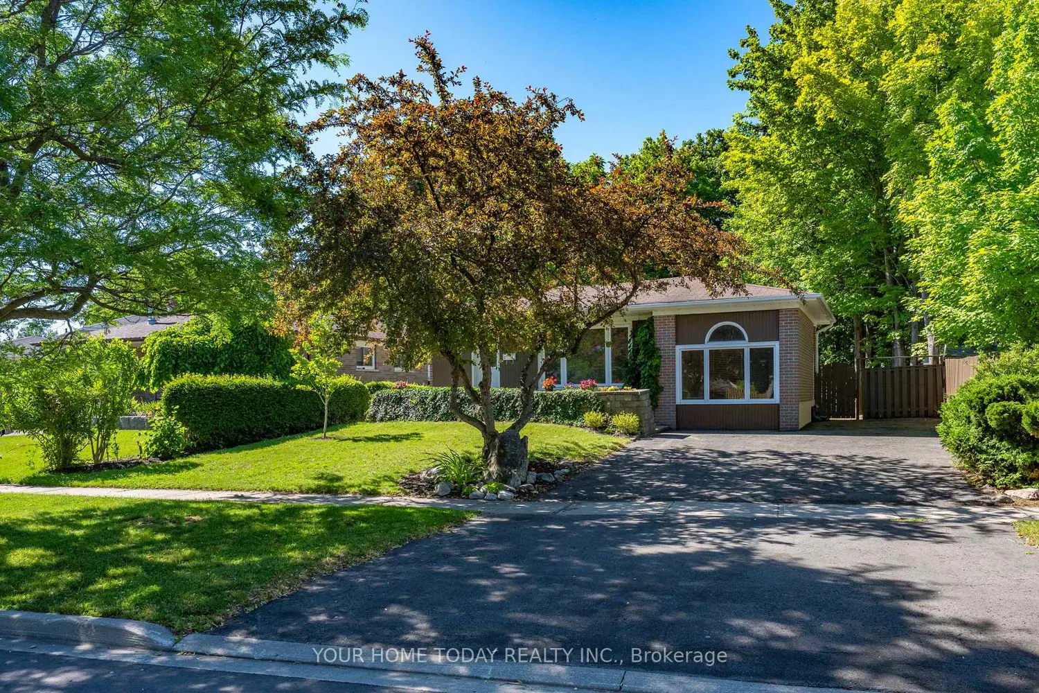 338 Delrex Boulevard