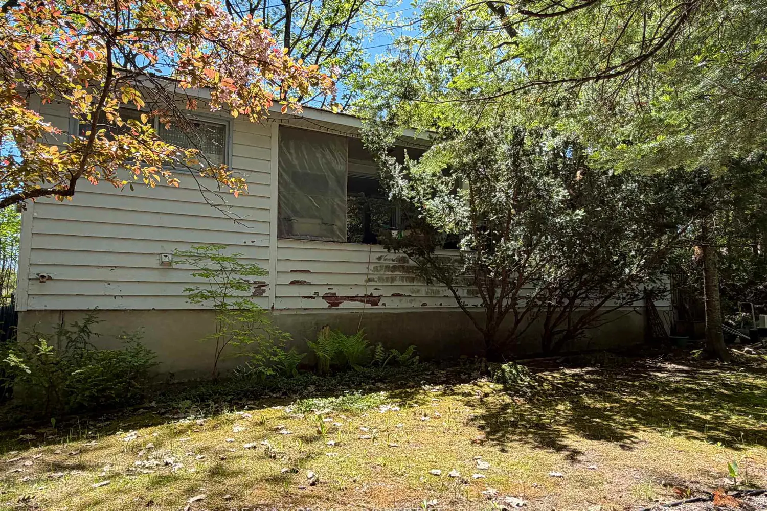 187 Frederick Drive photo 3